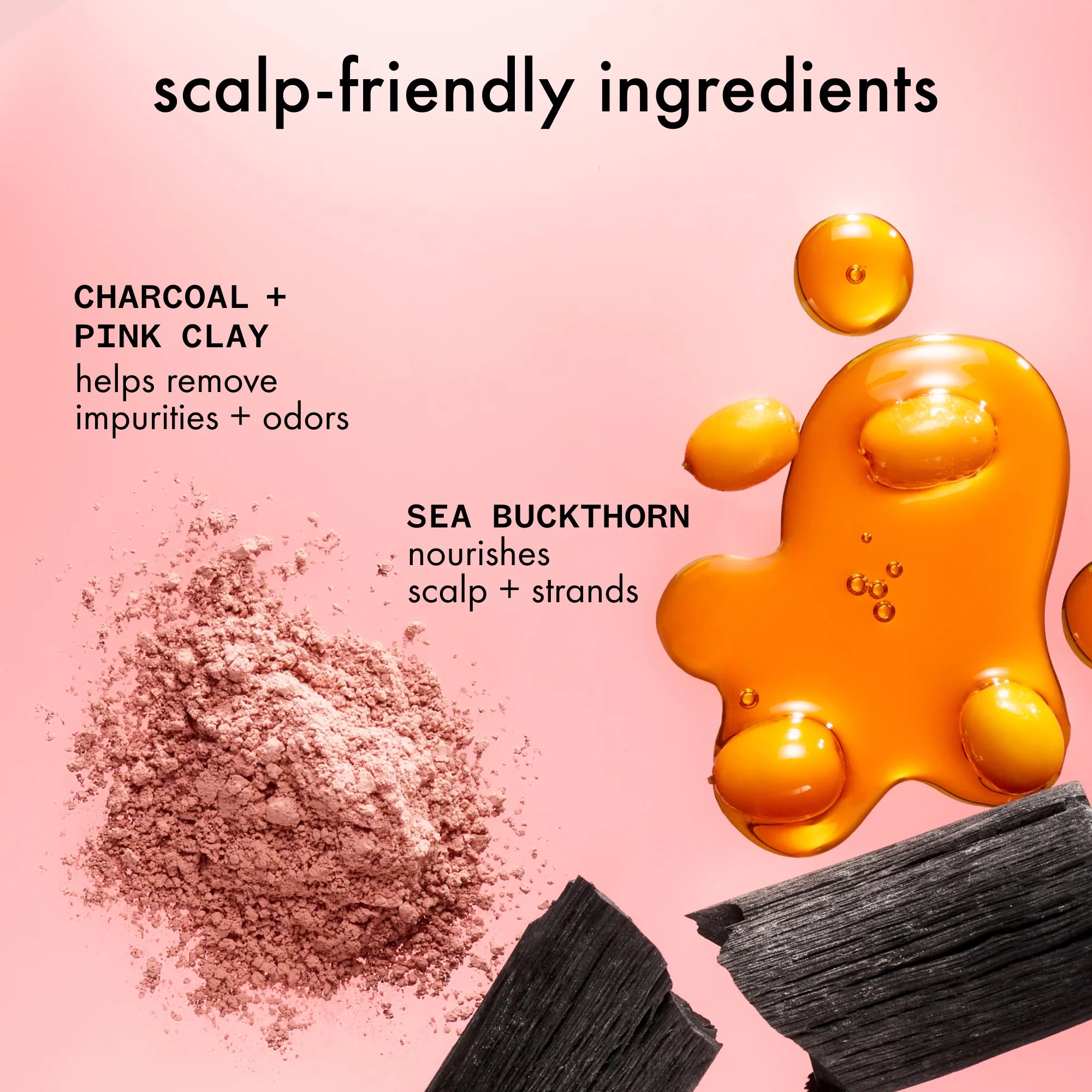 Scalp cleansing oil ingredient illustration: charcoal, pink clay, sea buckthorn