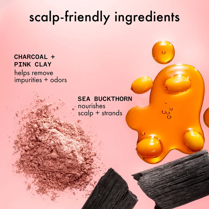 Scalp cleansing oil ingredient illustration: charcoal, pink clay, sea buckthorn