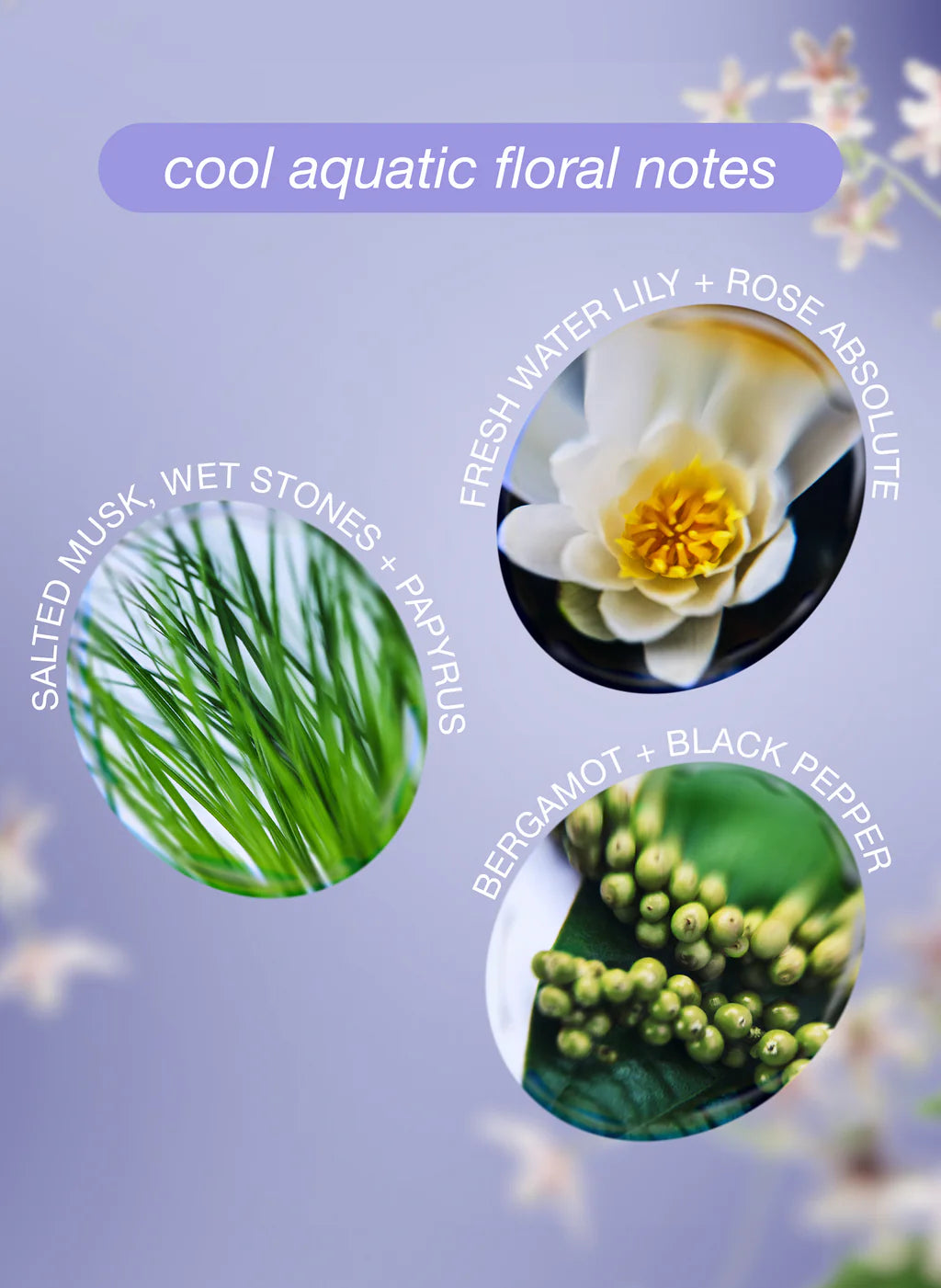 Cool aquatic floral scent notes for leave-in molecular repair hair mask
