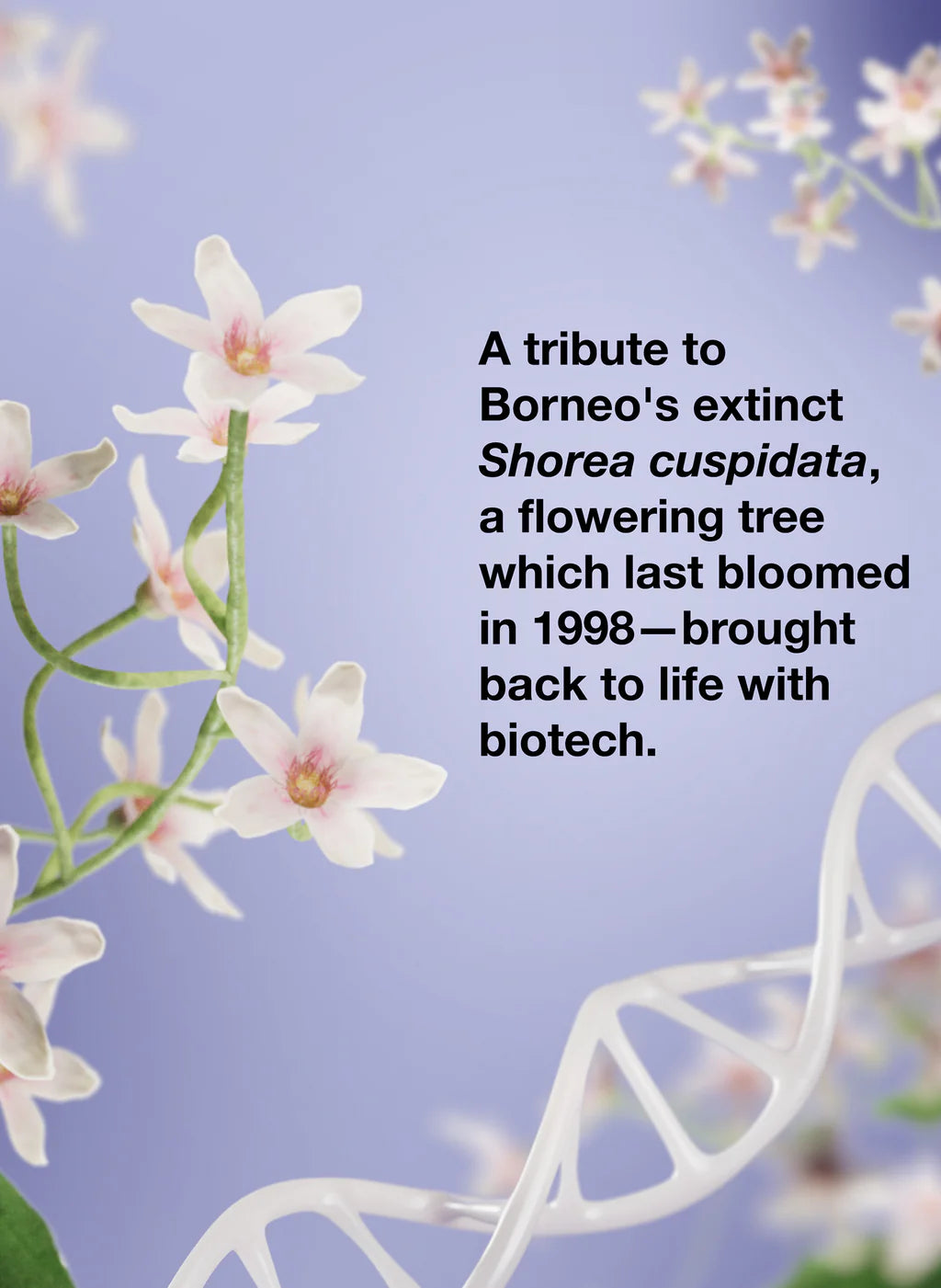 Flower illustration with biotech message for K18 x Future Society fragrance