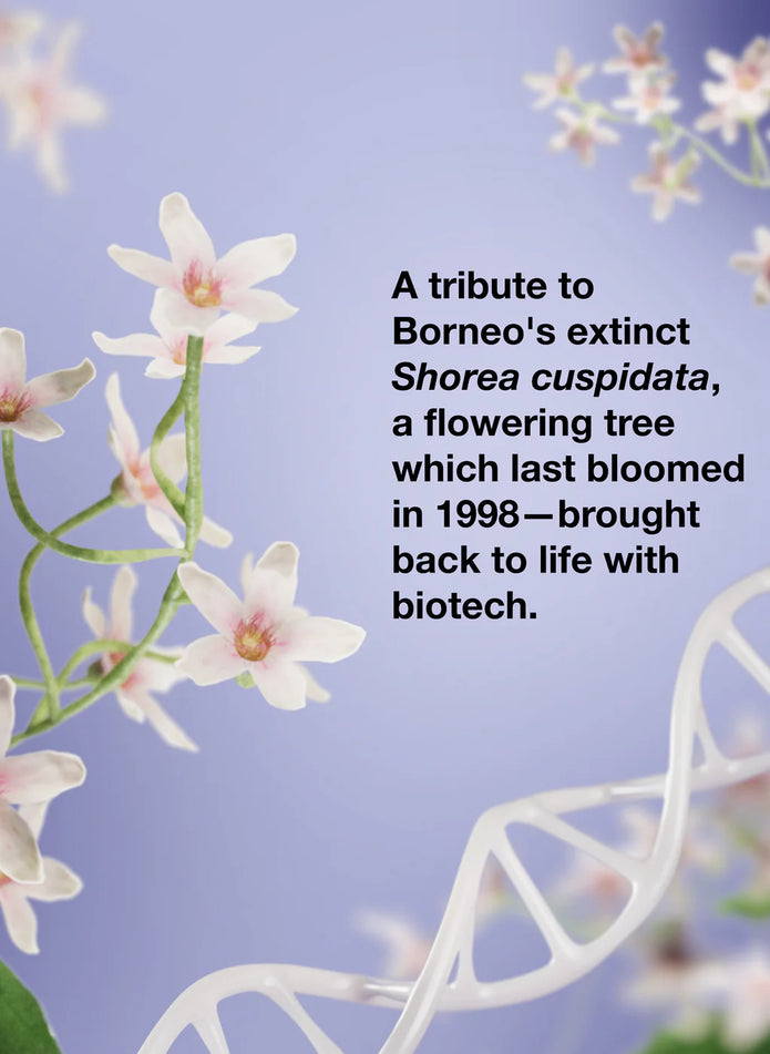 Flower illustration with biotech message for K18 x Future Society fragrance