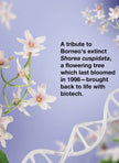 Flower illustration with biotech message for K18 x Future Society fragrance