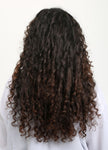 Curly dark hair, back view over white top