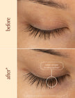 Before-and-after close-up of eyes showing lash lift with thicker, longer-looking lashes